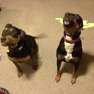 Meet your Posher, Jon